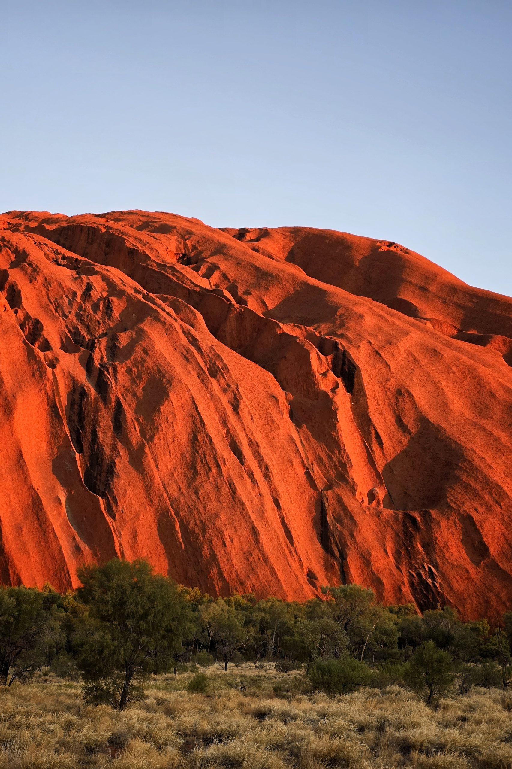 Uluru Geology and Wildlife