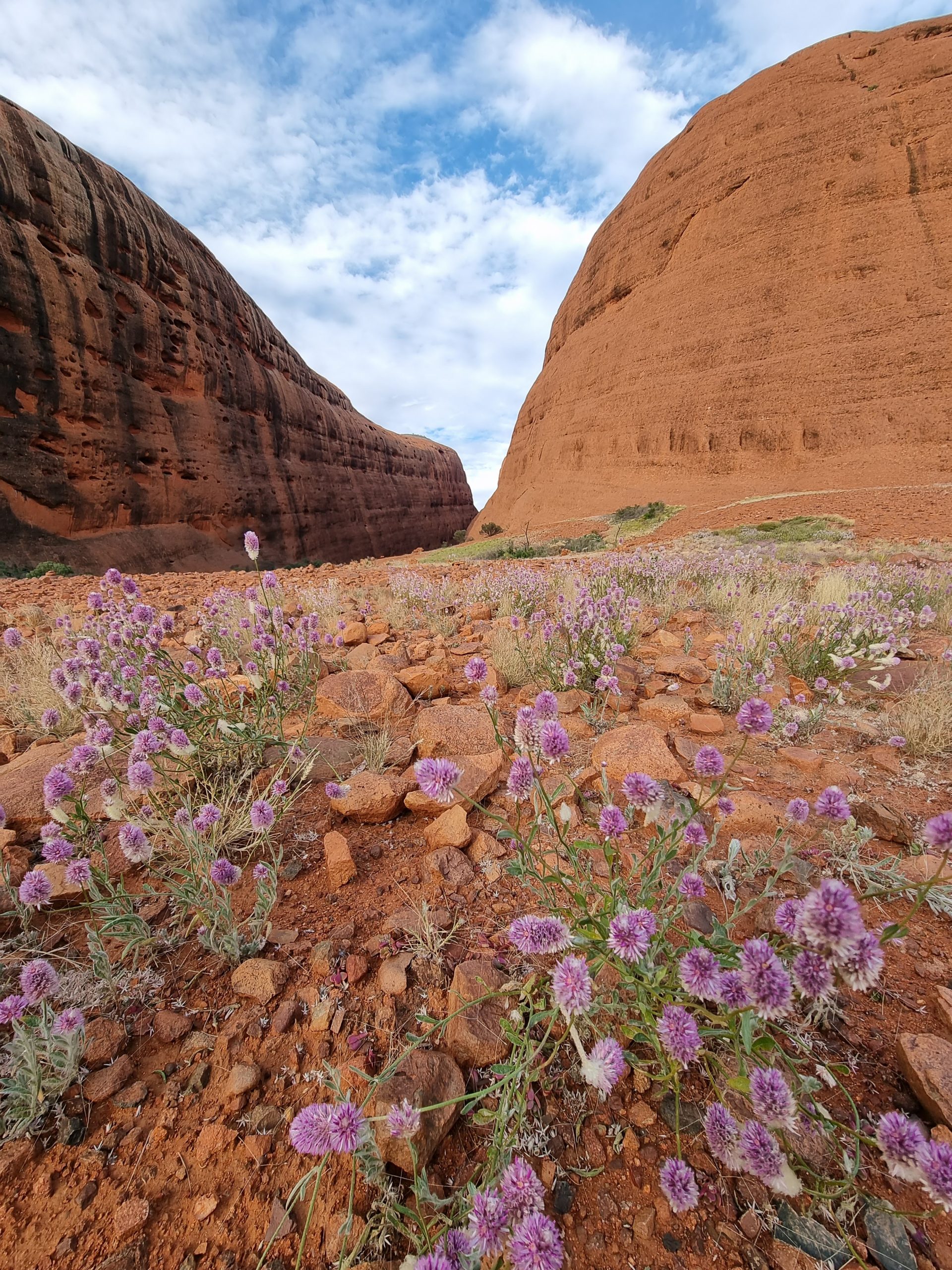 Kata Tjuta walks