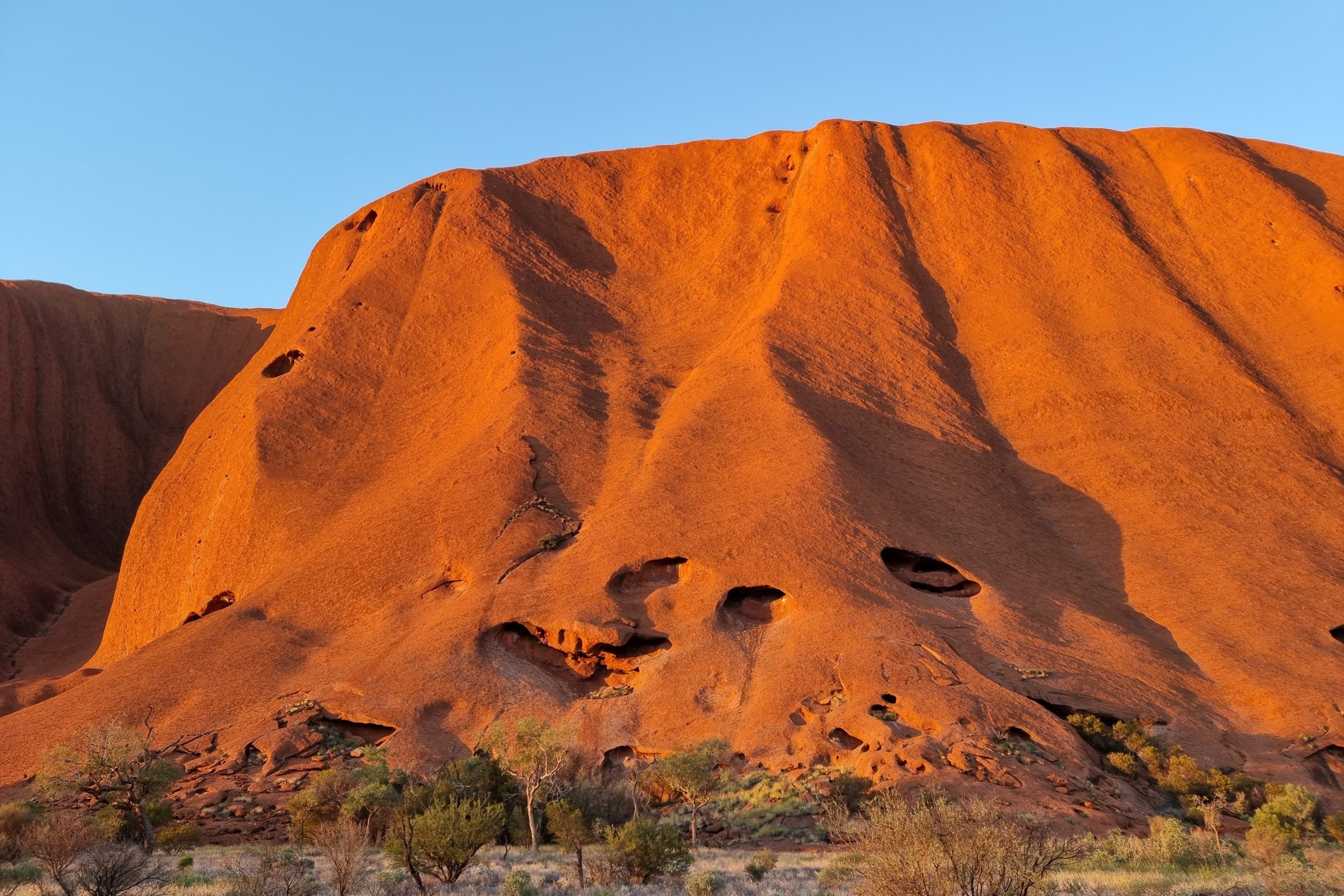Experience the best of all Uluṟu tours and desert experiences with a local guide