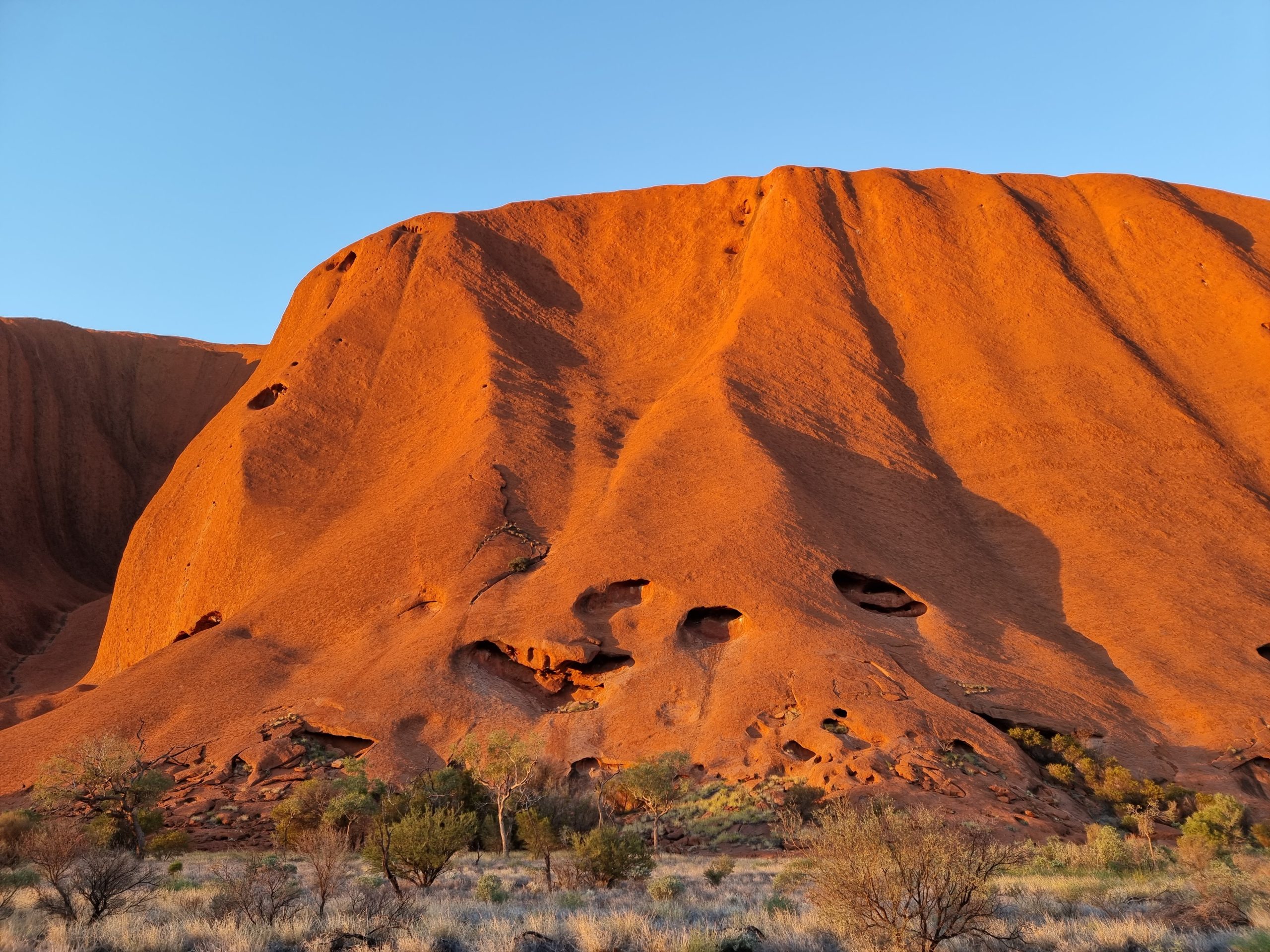 Experience the best of all Uluṟu tours and desert experiences with a local guide