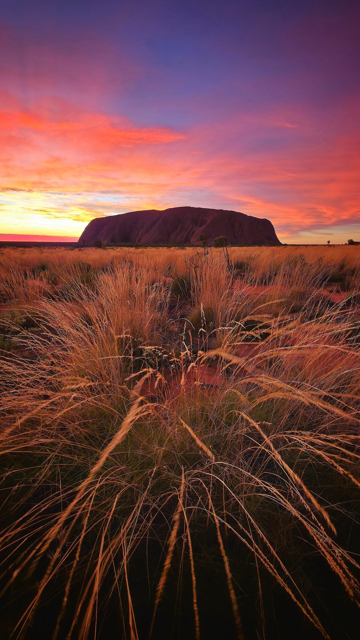 All Uluṟu Tours and Desert Experiences - A group watching the sunset at the Rock