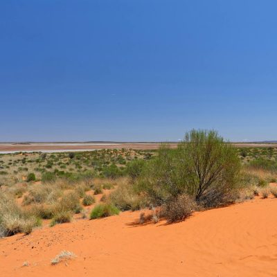 Stunning view of the Australian outback with red sand and sparse vegetation under a clear blue sky.