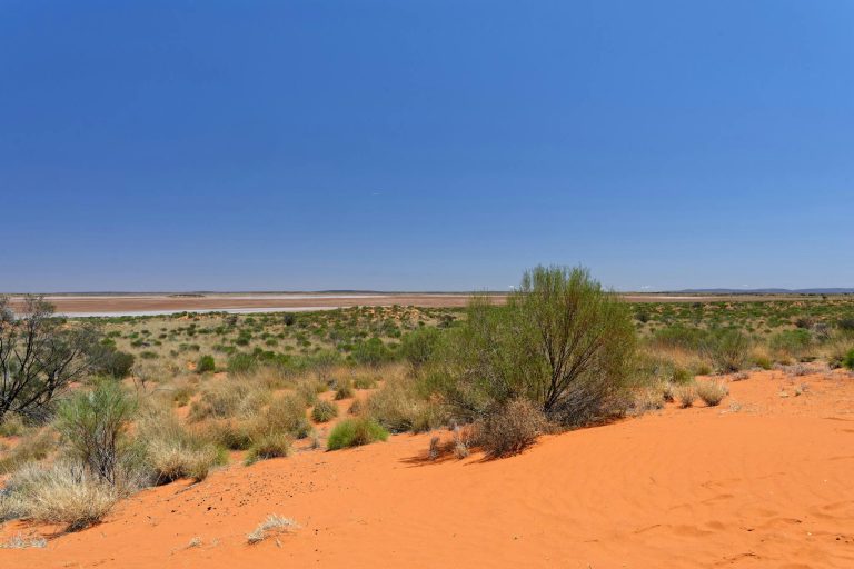 Stunning view of the Australian outback with red sand and sparse vegetation under a clear blue sky.