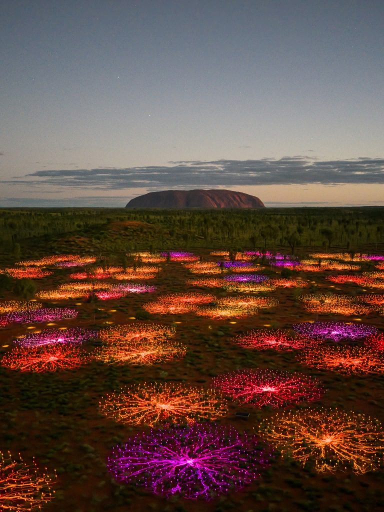 Field of Light Sunrise Tour